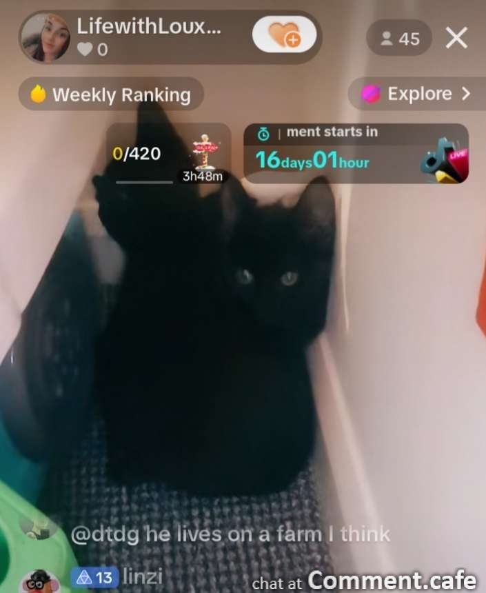 Screenshot_20231219-214235_TikTok.jpg